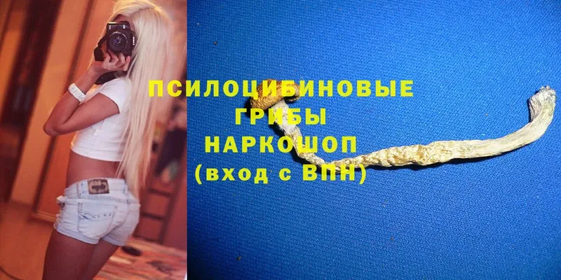 Галлюциногенные грибы MAGIC MUSHROOMS  где продают   Электрогорск 